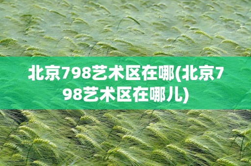 北京798艺术区在哪(北京798艺术区在哪儿)