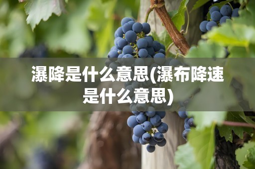 瀑降是什么意思(瀑布降速是什么意思)