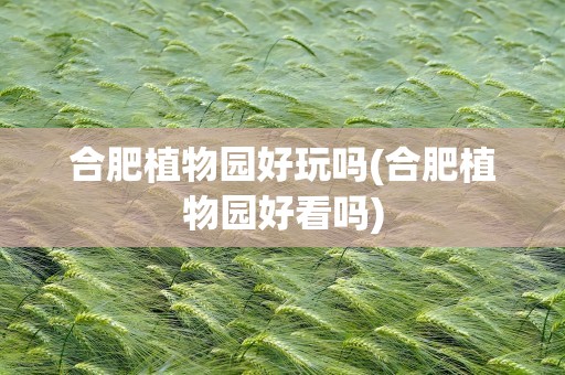 合肥植物园好玩吗(合肥植物园好看吗)