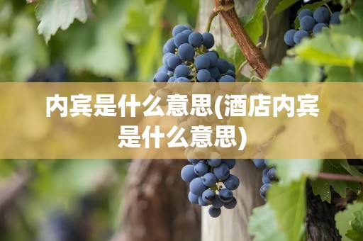 内宾是什么意思(酒店内宾是什么意思)