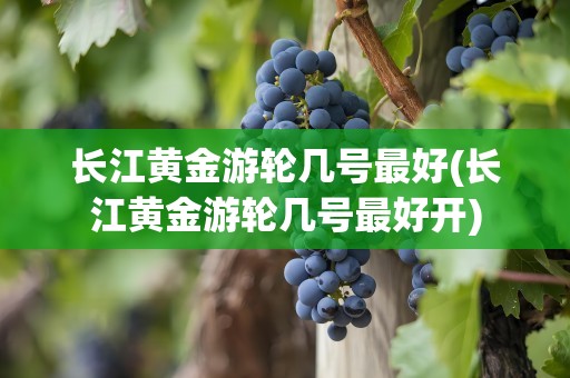 长江黄金游轮几号最好(长江黄金游轮几号最好开)