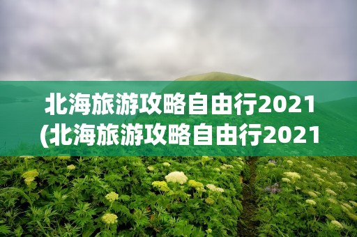 北海旅游攻略自由行2021(北海旅游攻略自由行2021年)