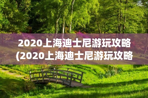 2020上海迪士尼游玩攻略(2020上海迪士尼游玩攻略图)