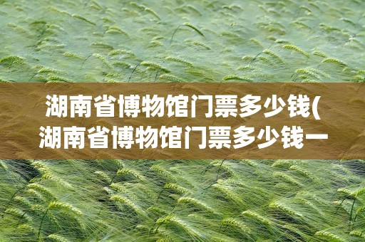 湖南省博物馆门票多少钱(湖南省博物馆门票多少钱一张)