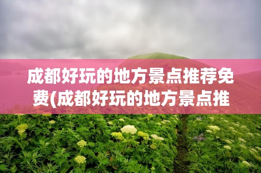 成都好玩的地方景点推荐免费(成都好玩的地方景点推荐免费的)