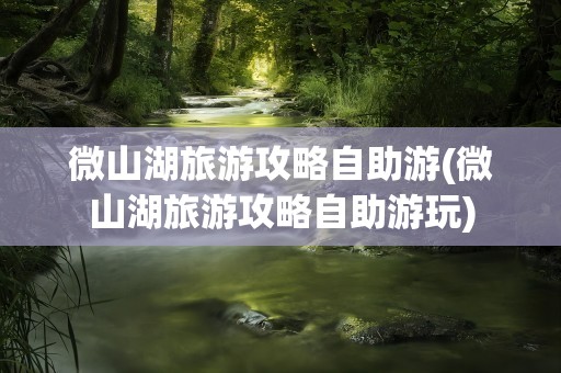 微山湖旅游攻略自助游(微山湖旅游攻略自助游玩)