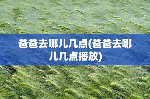 爸爸去哪儿几点(爸爸去哪儿几点播放)