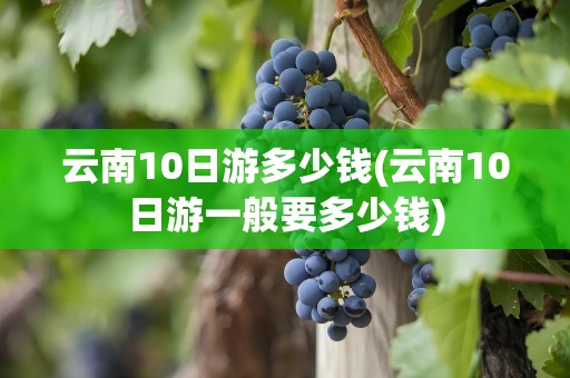 云南10日游多少钱(云南10日游一般要多少钱)