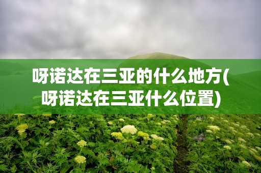 呀诺达在三亚的什么地方(呀诺达在三亚什么位置)