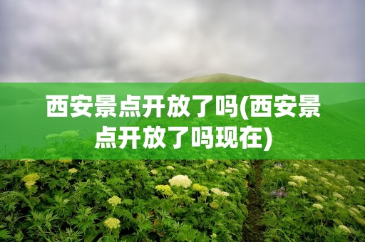 西安景点开放了吗(西安景点开放了吗现在)