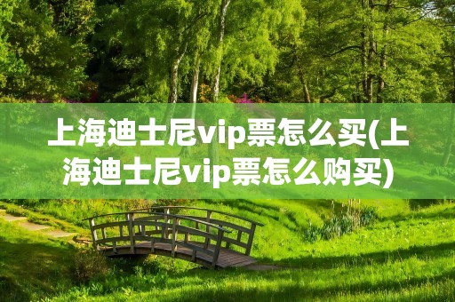 上海迪士尼vip票怎么买(上海迪士尼vip票怎么购买)