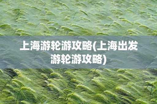 上海游轮游攻略(上海出发游轮游攻略)