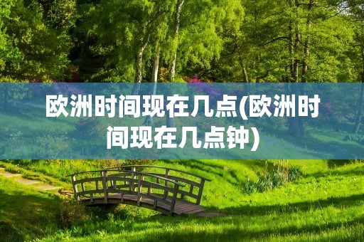 欧洲时间现在几点(欧洲时间现在几点钟)