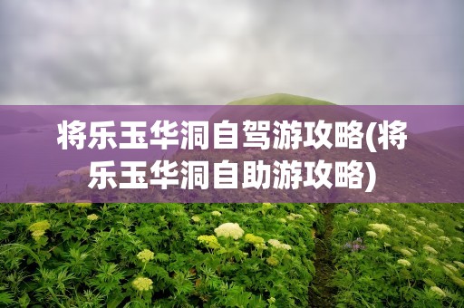 将乐玉华洞自驾游攻略(将乐玉华洞自助游攻略)