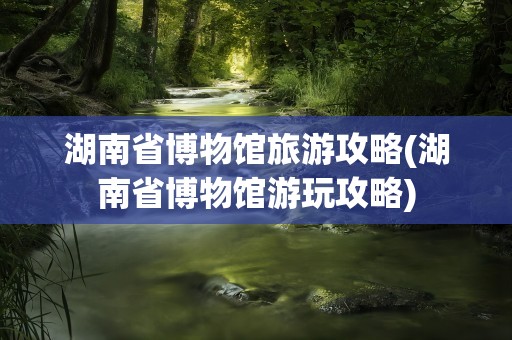 湖南省博物馆旅游攻略(湖南省博物馆游玩攻略)