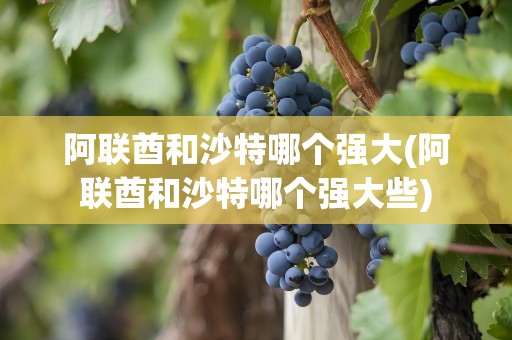 阿联酋和沙特哪个强大(阿联酋和沙特哪个强大些)