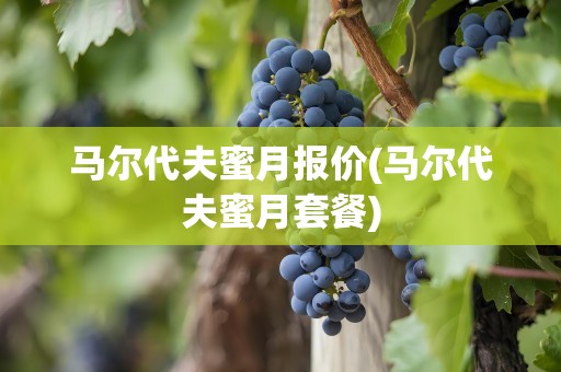 马尔代夫蜜月报价(马尔代夫蜜月套餐)