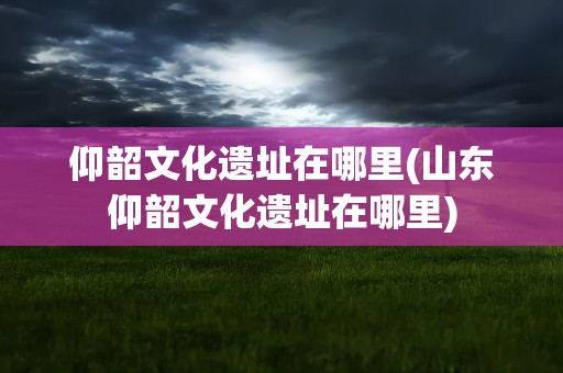 仰韶文化遗址在哪里(山东仰韶文化遗址在哪里)