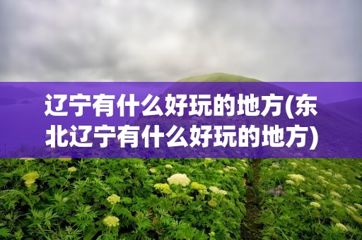 辽宁有什么好玩的地方(东北辽宁有什么好玩的地方)