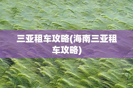 三亚租车攻略(海南三亚租车攻略)