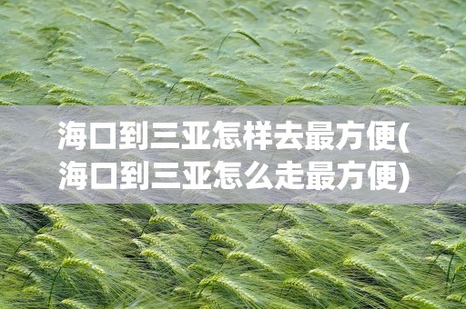 海口到三亚怎样去最方便(海口到三亚怎么走最方便)