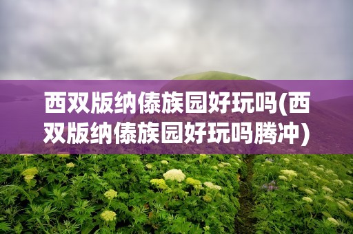 西双版纳傣族园好玩吗(西双版纳傣族园好玩吗腾冲)