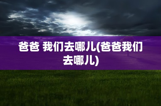 爸爸 我们去哪儿(爸爸我们去哪儿)