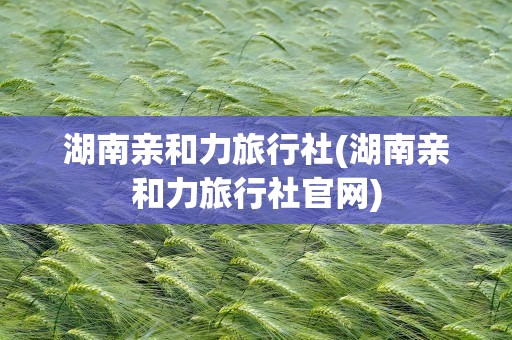 湖南亲和力旅行社(湖南亲和力旅行社官网)