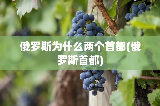 俄罗斯为什么两个首都(俄罗斯首都)