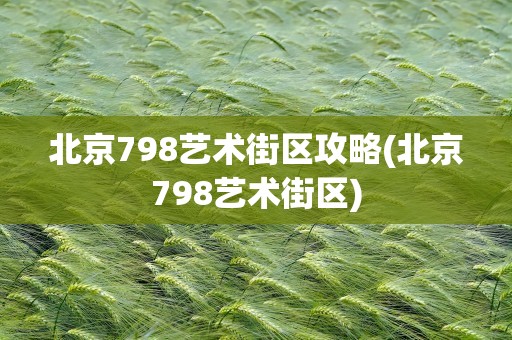 北京798艺术街区攻略(北京798艺术街区)