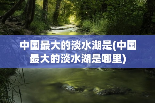 中国最大的淡水湖是(中国最大的淡水湖是哪里)