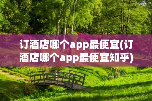 订酒店哪个app最便宜(订酒店哪个app最便宜知乎)