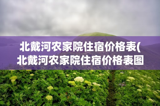 北戴河农家院住宿价格表(北戴河农家院住宿价格表图片)