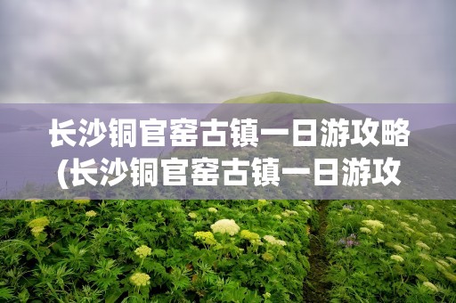 长沙铜官窑古镇一日游攻略(长沙铜官窑古镇一日游攻略有什东西吃)