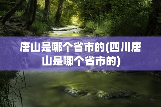 唐山是哪个省市的(四川唐山是哪个省市的)