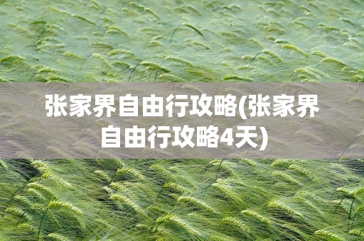 张家界自由行攻略(张家界自由行攻略4天)