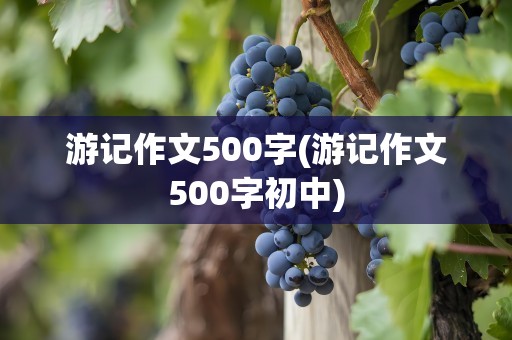 游记作文500字(游记作文500字初中)