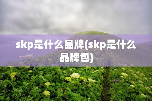 skp是什么品牌(skp是什么品牌包)