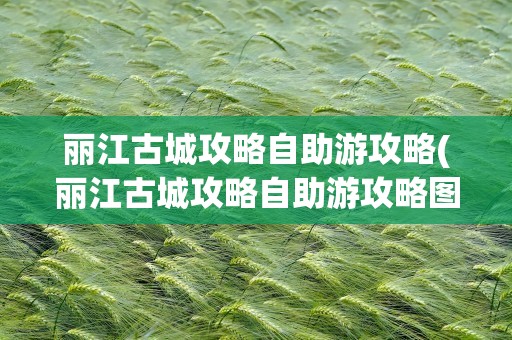 丽江古城攻略自助游攻略(丽江古城攻略自助游攻略图片)