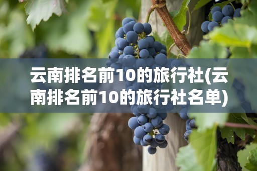 云南排名前10的旅行社(云南排名前10的旅行社名单)