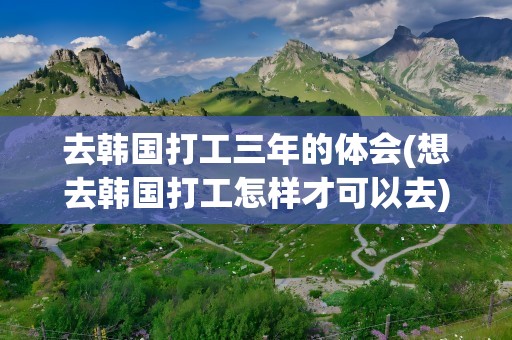 去韩国打工三年的体会(想去韩国打工怎样才可以去)