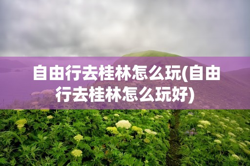 自由行去桂林怎么玩(自由行去桂林怎么玩好)