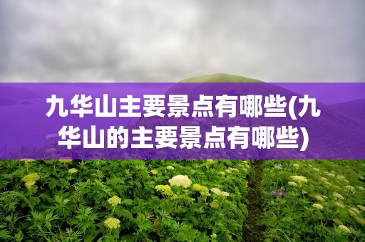 九华山主要景点有哪些(九华山的主要景点有哪些)