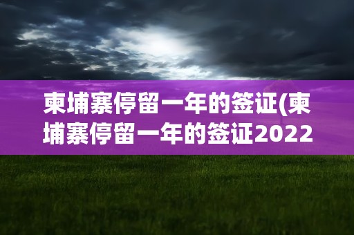 柬埔寨停留一年的签证(柬埔寨停留一年的签证2022)