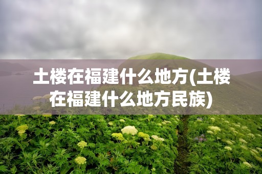 土楼在福建什么地方(土楼在福建什么地方民族)