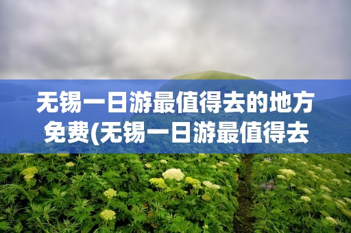 无锡一日游最值得去的地方免费(无锡一日游最值得去的地方免费攻略)