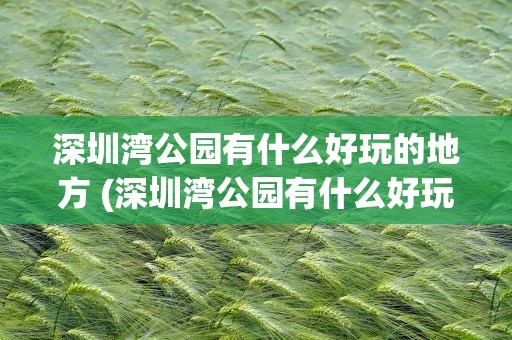 深圳湾公园有什么好玩的地方 (深圳湾公园有什么好玩的地方)