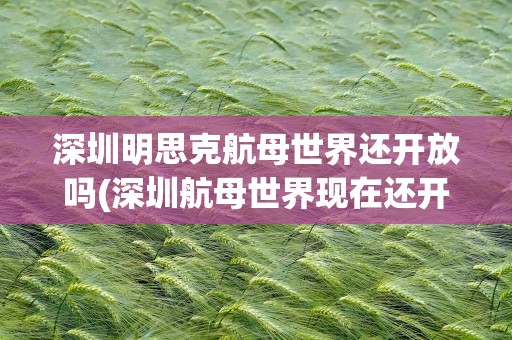 深圳明思克航母世界还开放吗(深圳航母世界现在还开放吗)