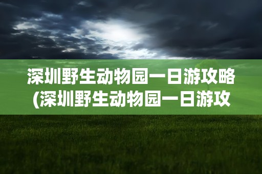 深圳野生动物园一日游攻略(深圳野生动物园一日游攻略图)