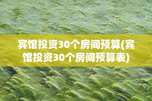 宾馆投资30个房间预算(宾馆投资30个房间预算表)